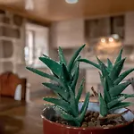 Casa Dos Muinos *