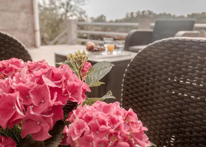 Casa Dos Muinos 別荘